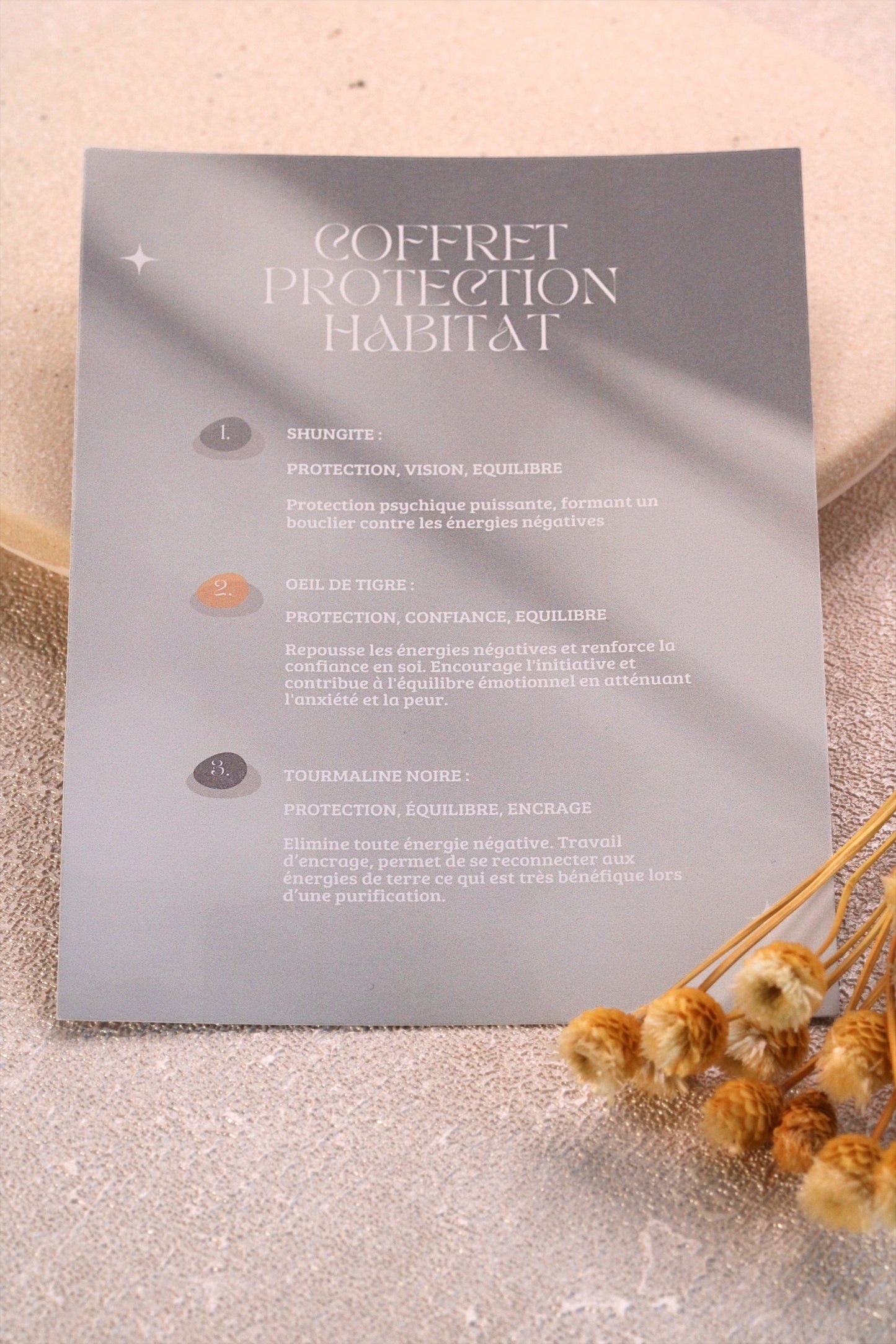 Coffret Protection Habitat